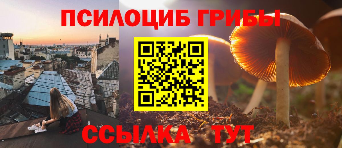 Галлюциногенные грибы мухоморы Дюртюли