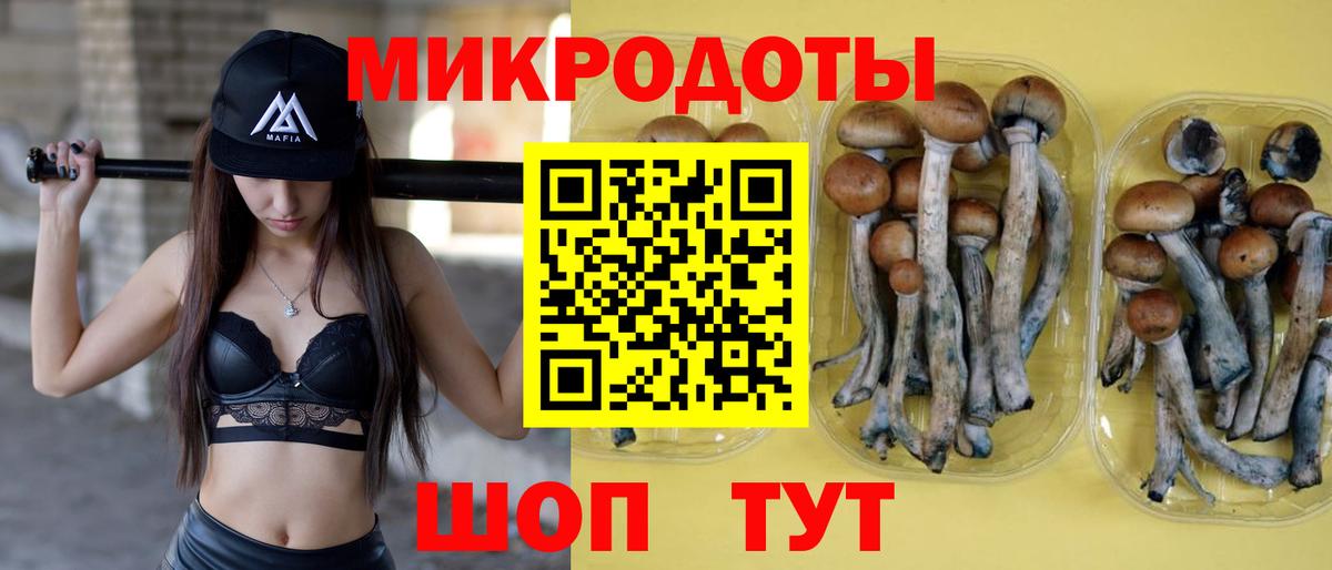 Псилоцибиновые грибы прущие грибы  Псилоцибиновые грибы ЛСД  Дюртюли  Вход с VPN 